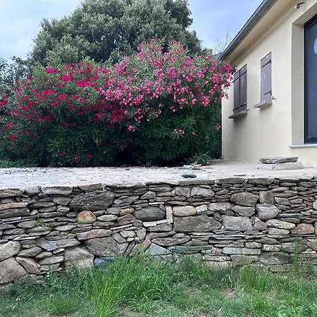 Nature Σπίτι διακοπών *