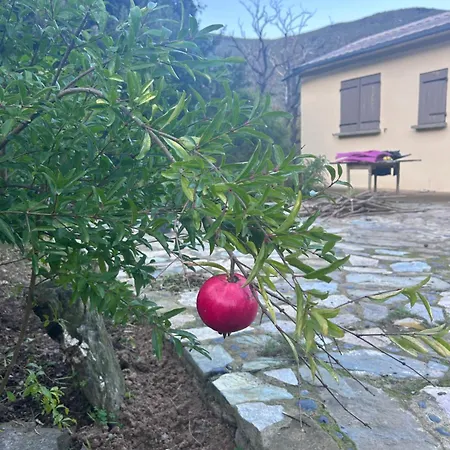 Nature Sisco